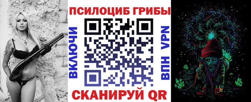 Галлюциногенные грибы MAGIC MUSHROOMS  blacksprut маркетплейс  Курильск 